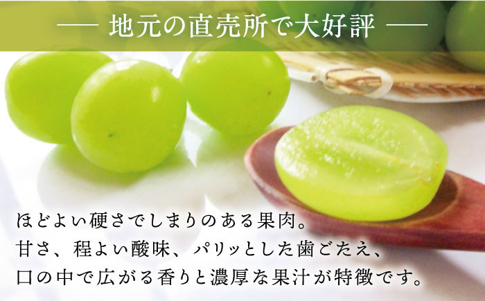 期間限定！甘くて濃厚な白石産シャインマスカット