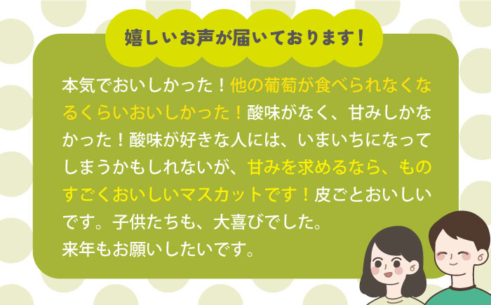 期間限定！甘くて濃厚な白石産シャインマスカット