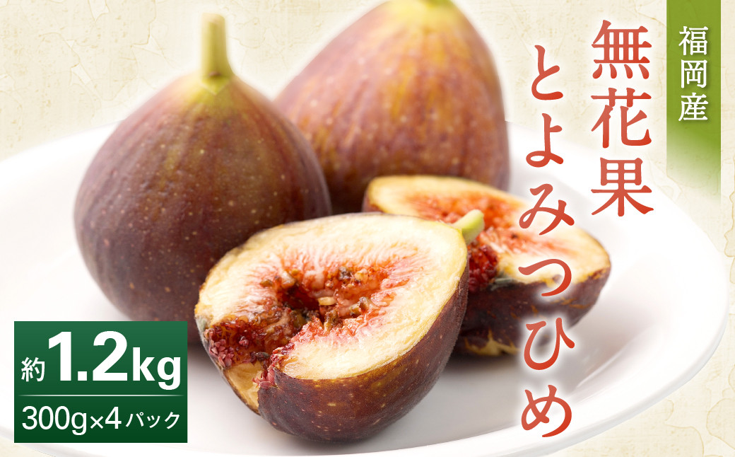 福岡県産 無花果 とよみつひめ 300g×4パック 合計1.2kg