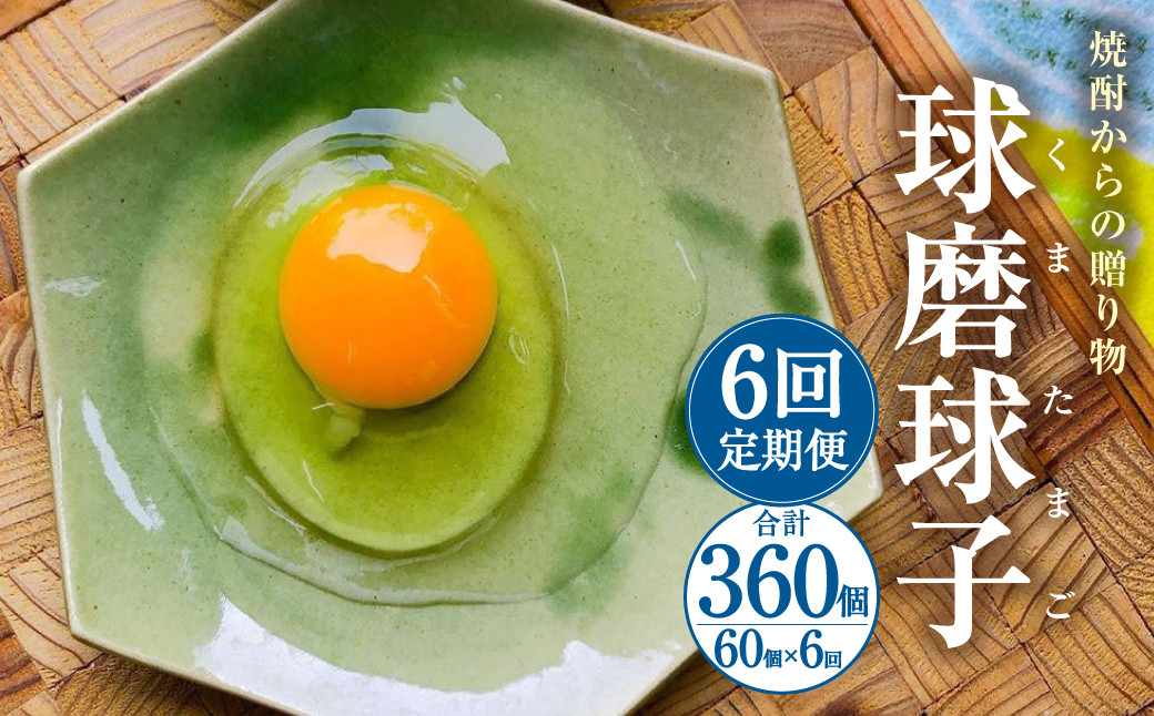 【定期便年6回】 球磨球子 60個入 卵 たまご 鶏卵