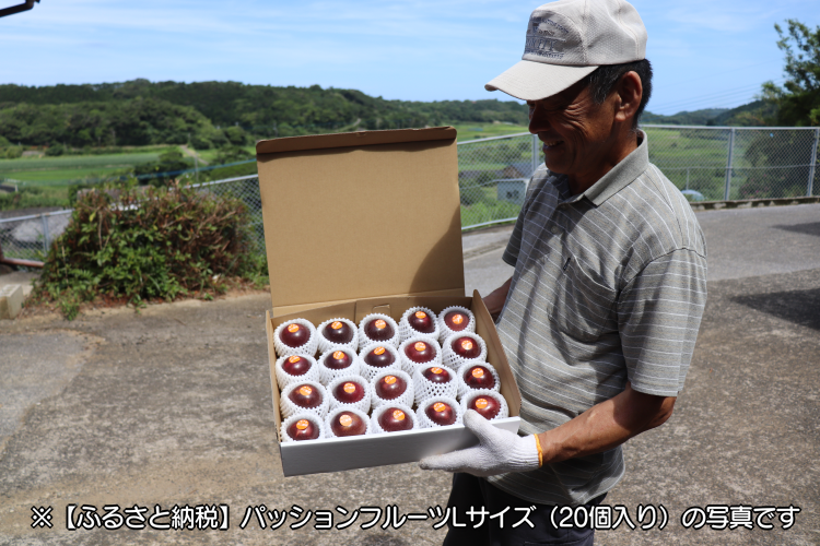 大粒の立派なサイズのきれいなパッションフルーツが届きます！甘いのがお好きな方は、常温で追熟してシワが出てきてから、どうぞ！