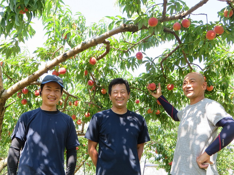 丹精込めて栽培しています！