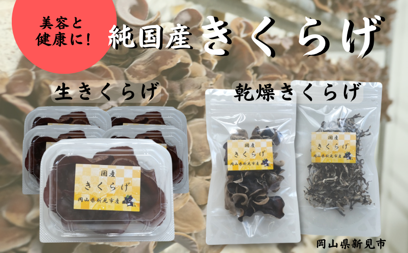 美容と健康にぴったり。純国産きくらげをお届けします。