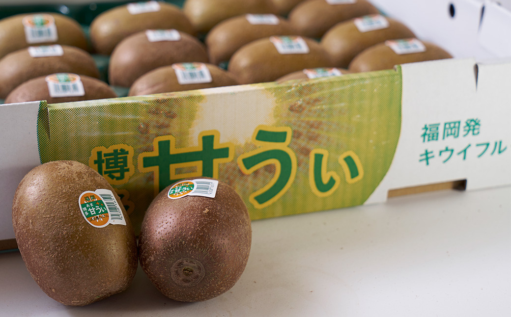 福岡県産 ブランドキウイ 甘うぃ 約3kg (24-33玉)