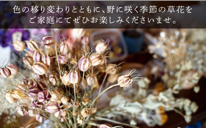 野に咲く季節の花をお届けします