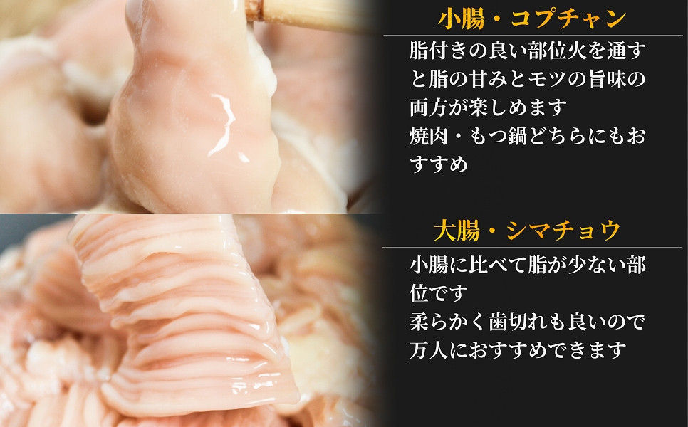 焼肉にももつ鍋にも！これからの季節にぴったり！