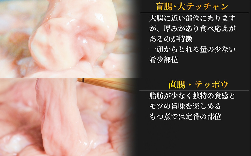 焼肉にももつ鍋にも！これからの季節にぴったり！