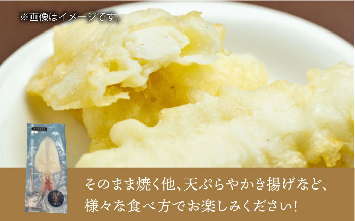 いか イカ 烏賊 一夜干し おつまみ つまみ 酒のあて おやつ 朝食 夕食 定食