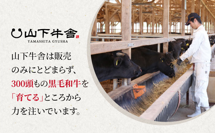 佐賀牛 牛すじ 600g ( 300g×2パック ) 牛肉 牛スジ 小分け 黒毛和牛 佐賀 牛筋