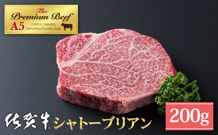 ヒレ ヒレステーキ フィレ フィレステーキ シャトーブリアン 赤身 赤身肉 厚切り 希少部位 A5 A5ランク 牛肉 精肉