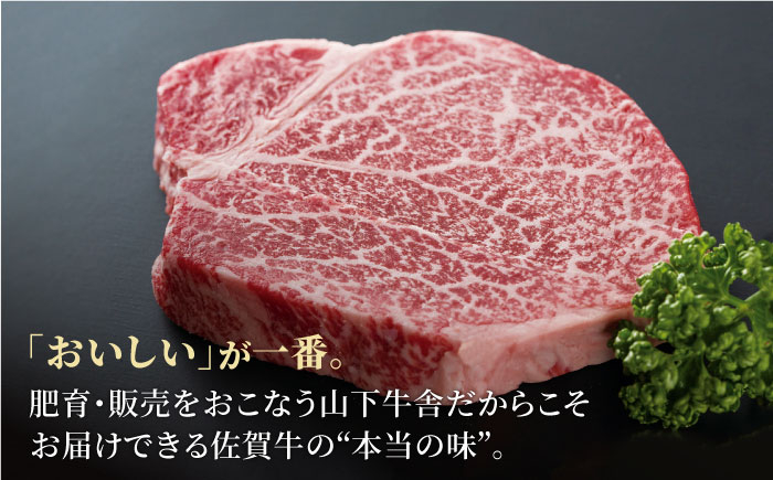 ヒレ ヒレステーキ フィレ フィレステーキ シャトーブリアン 赤身 赤身肉 厚切り 希少部位 A5 A5ランク 牛肉  贈答