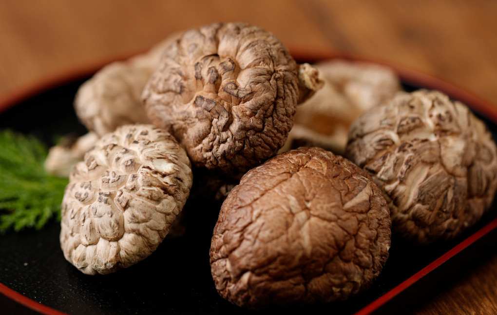 進物どんこ 80g×2ヶ 計160g