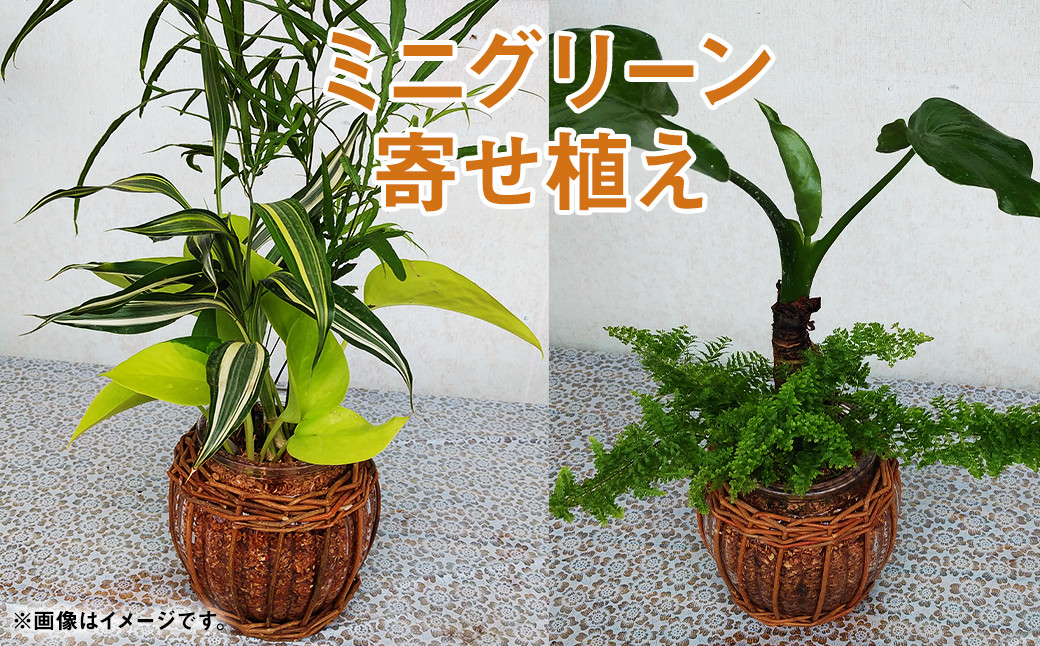 ※画像はイメージです