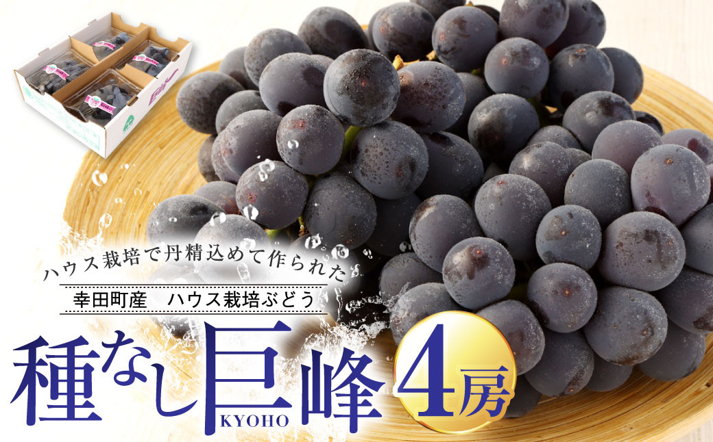 幸田町産 ハウス栽培ぶどう「種なし巨峰」4房