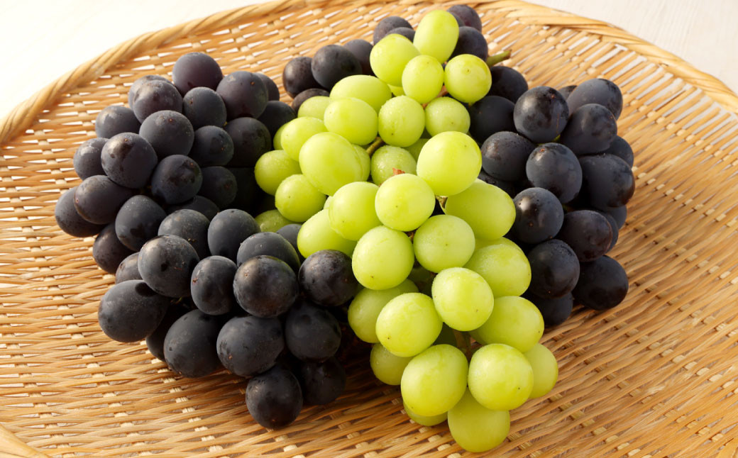 幸田町産「ハウス栽培旬のぶどう」2種類詰合せ（種なし巨峰×2、シャインマスカット×1）3房