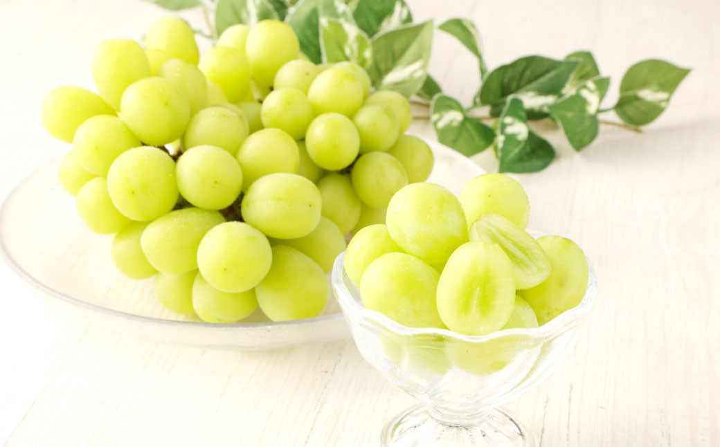 幸田町産 ハウス栽培ぶどう「シャインマスカット（種なし）」3房