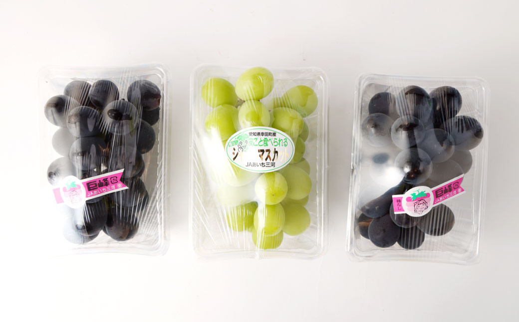 幸田町産「ハウス栽培旬のぶどう」2種類詰合せ（種なし巨峰×2、シャインマスカット×1）3房