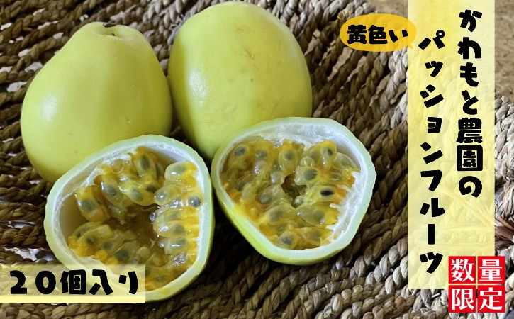 8月配送限定！かわもと農園の黄色いパッションフルーツ