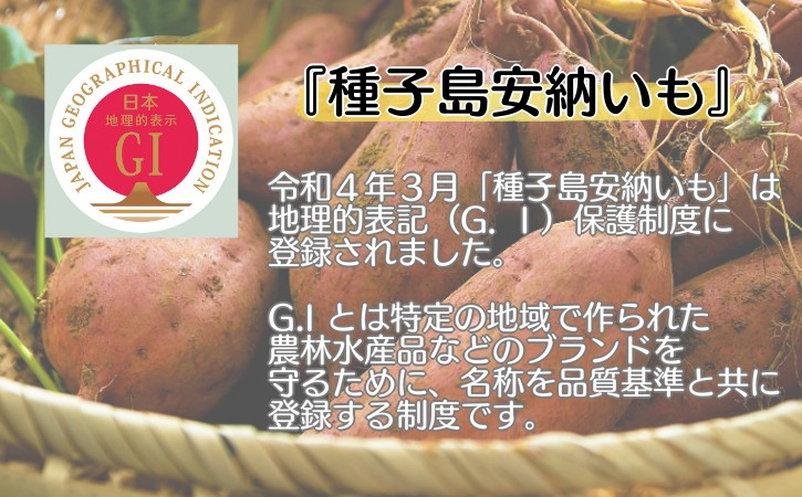 種子島安納いもは「G.I」地理的表記保護制度に登録されました
