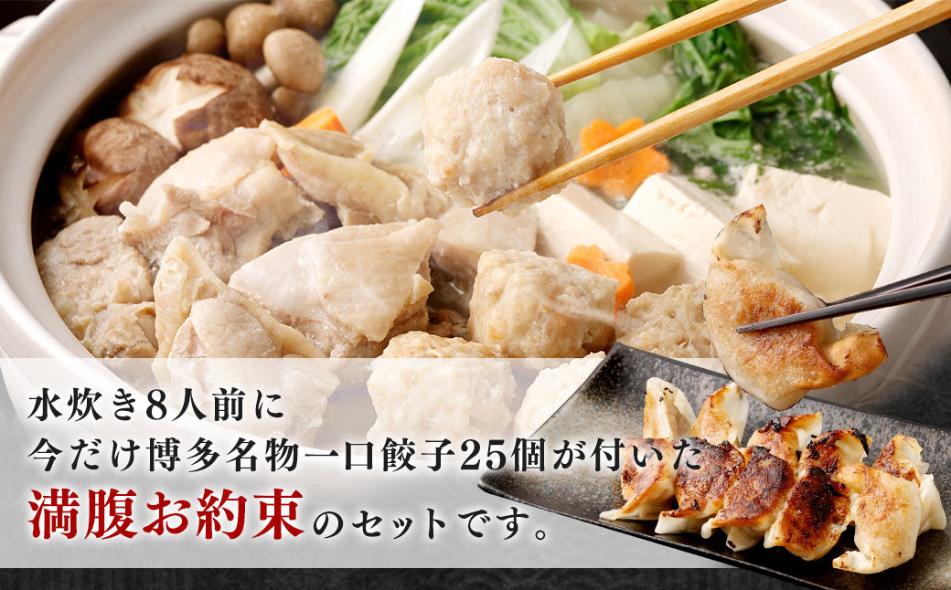 今だけ 博多名物 一口 餃子 25個付！ 水炊き セット 8人前