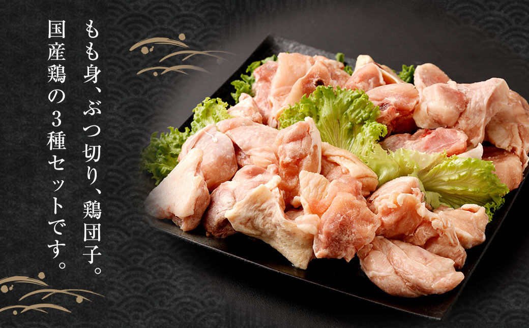 今だけ 博多名物 一口 餃子 25個付！ 水炊き セット 8人前