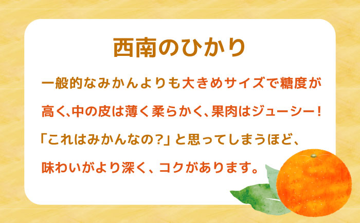 ジュース みかんジュース 飲料 ストレートジュース 100％ジュース