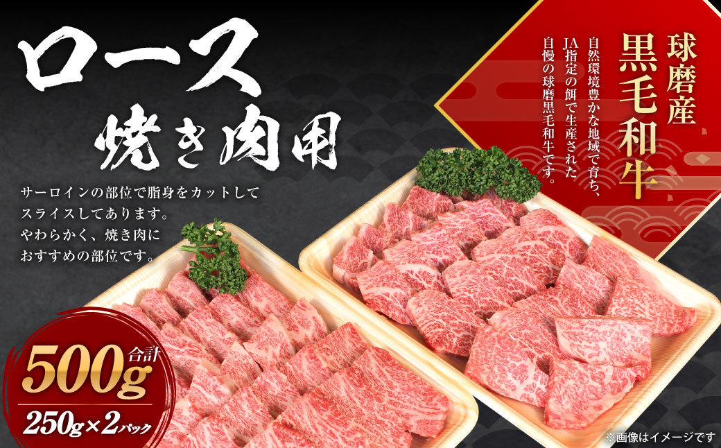 球磨産 黒毛和牛 ロース 焼き肉用  500g (250g×2パック)