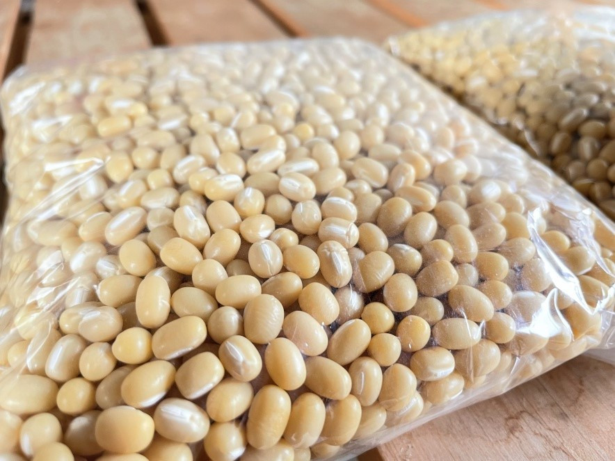 大粒を選んでお届けします。豆は選別が大変(手作業選別はババ泣かせと言われたそうです)今では機械で選別を行えるようになりました。