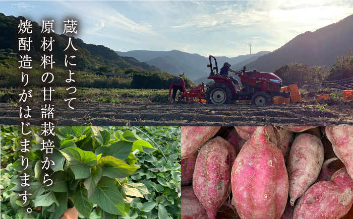 【全6回定期便】 五島灘紅芋 1800ml / 酒 芋焼酎 いも 五島灘 五島灘酒造