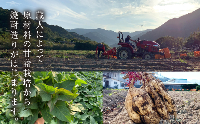 【全12回定期便】 本格芋焼酎 五島灘黒麹 1800ml / 酒 芋焼酎 いも 五島灘 五島灘酒造