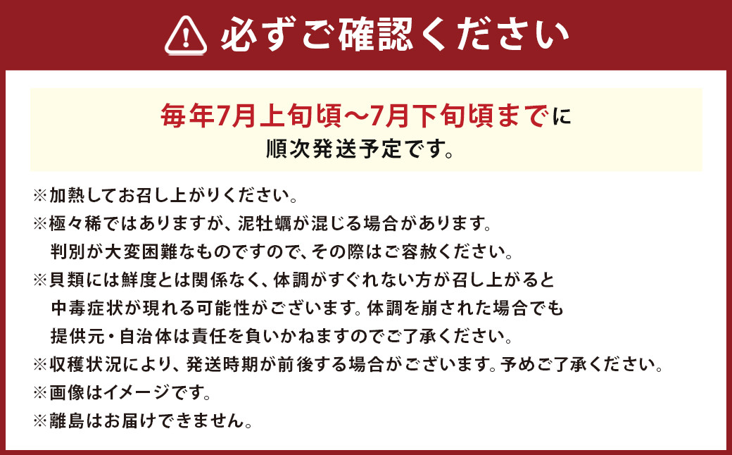 【限定100個】岩牡蠣 初雫 10～15個 合計約1.5kg 加熱用 冷蔵