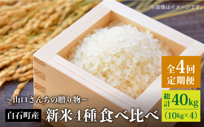 令和6年の新米 食べ比べ！
