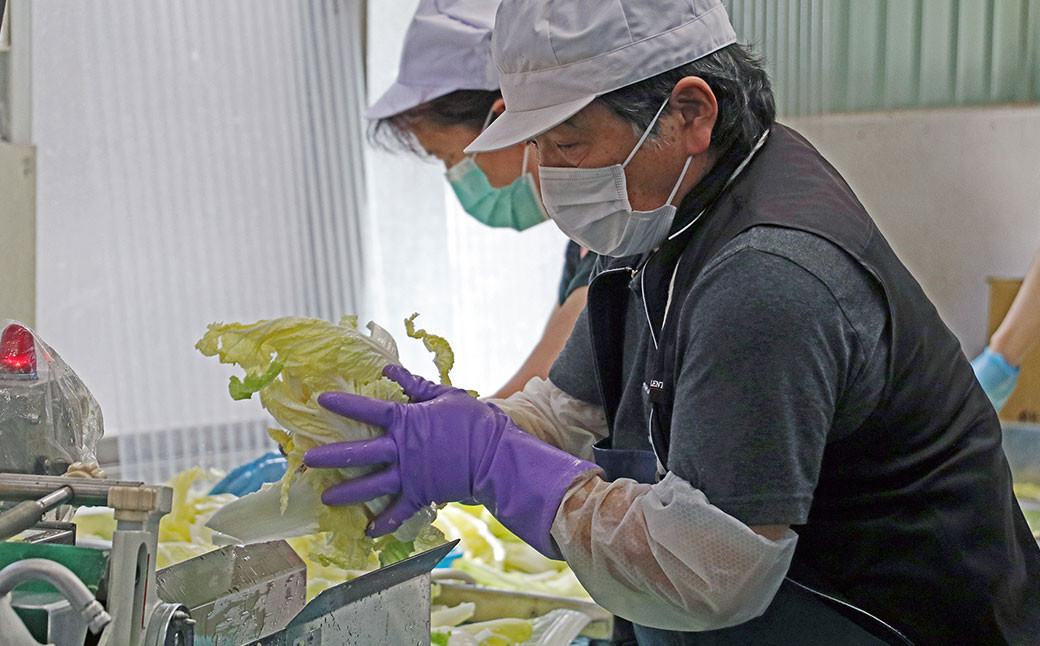 井上豊彦商店の 国産 朝鮮漬 ( キムチ ) アリラン 130g×5パックセット 計650g