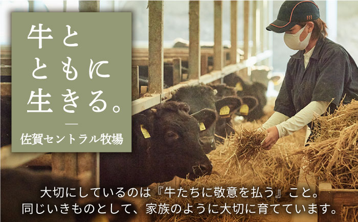 【FARM to TABLE】農場から食卓へ、牧場直送でお届け！