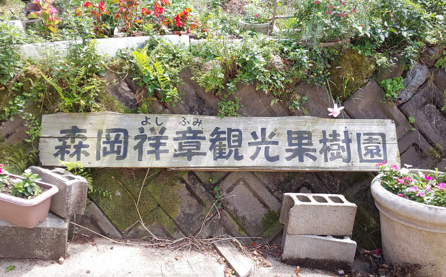 画像はイメージです。