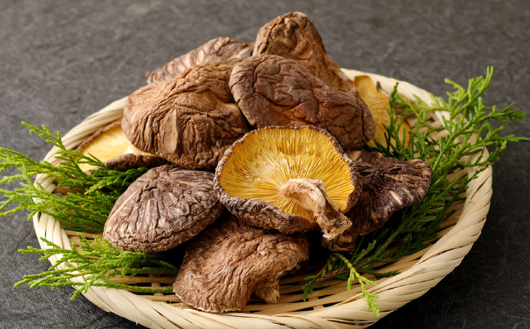 大分産 椎茸こうしん 50g×9袋 合計450g
