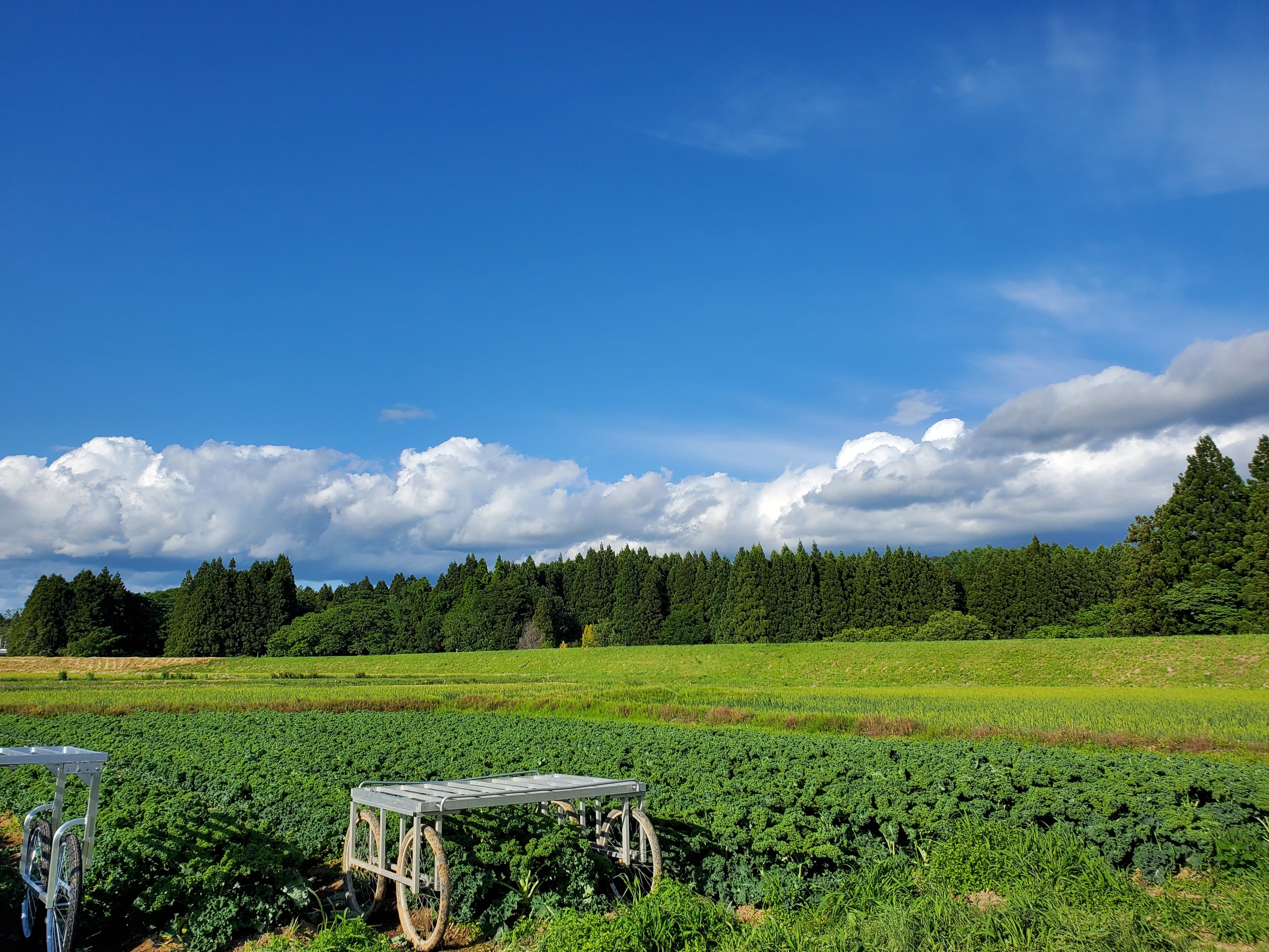 北上川沿いの肥沃な土地に広大な農園があります。