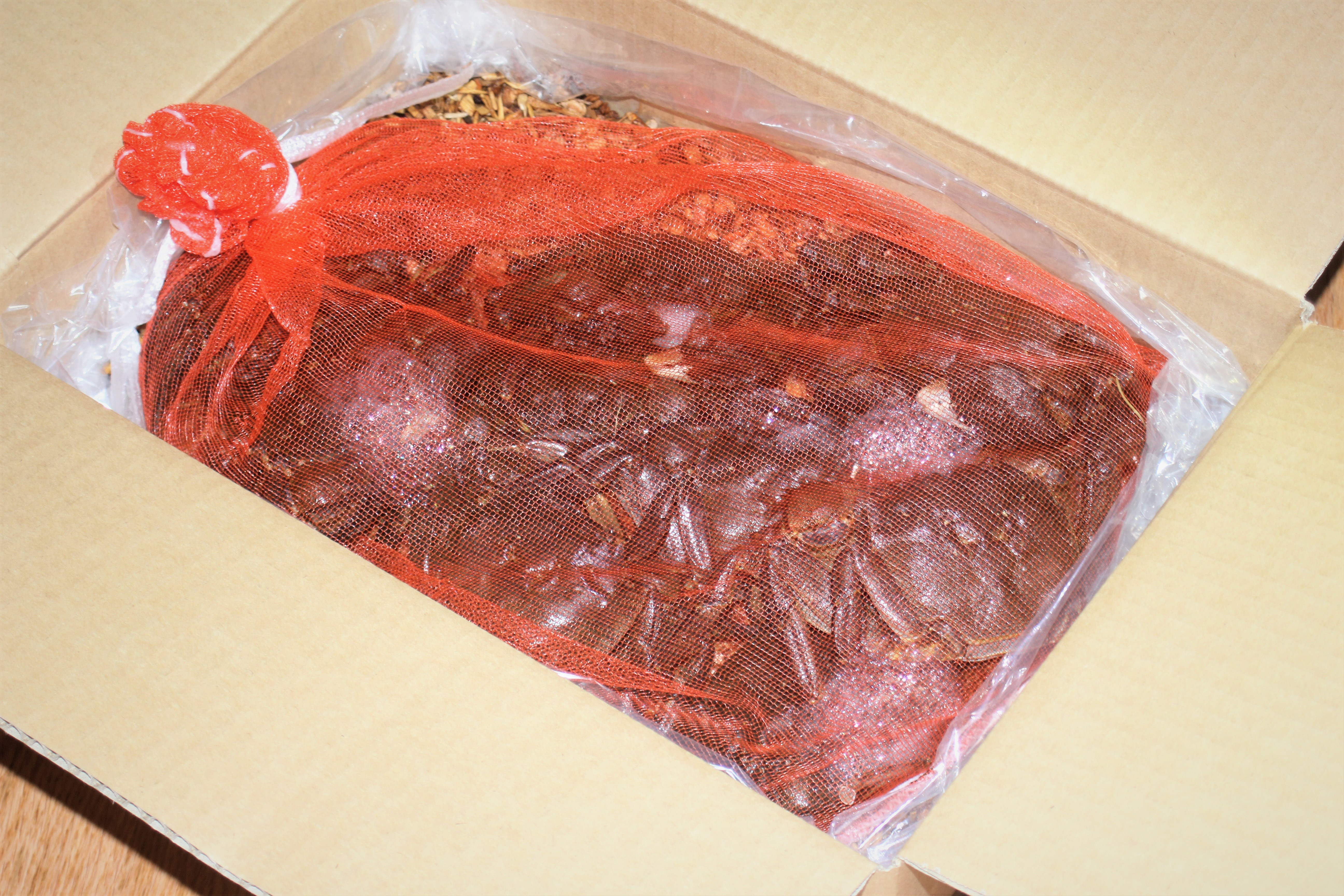 ネットに入れてお届けいたします。