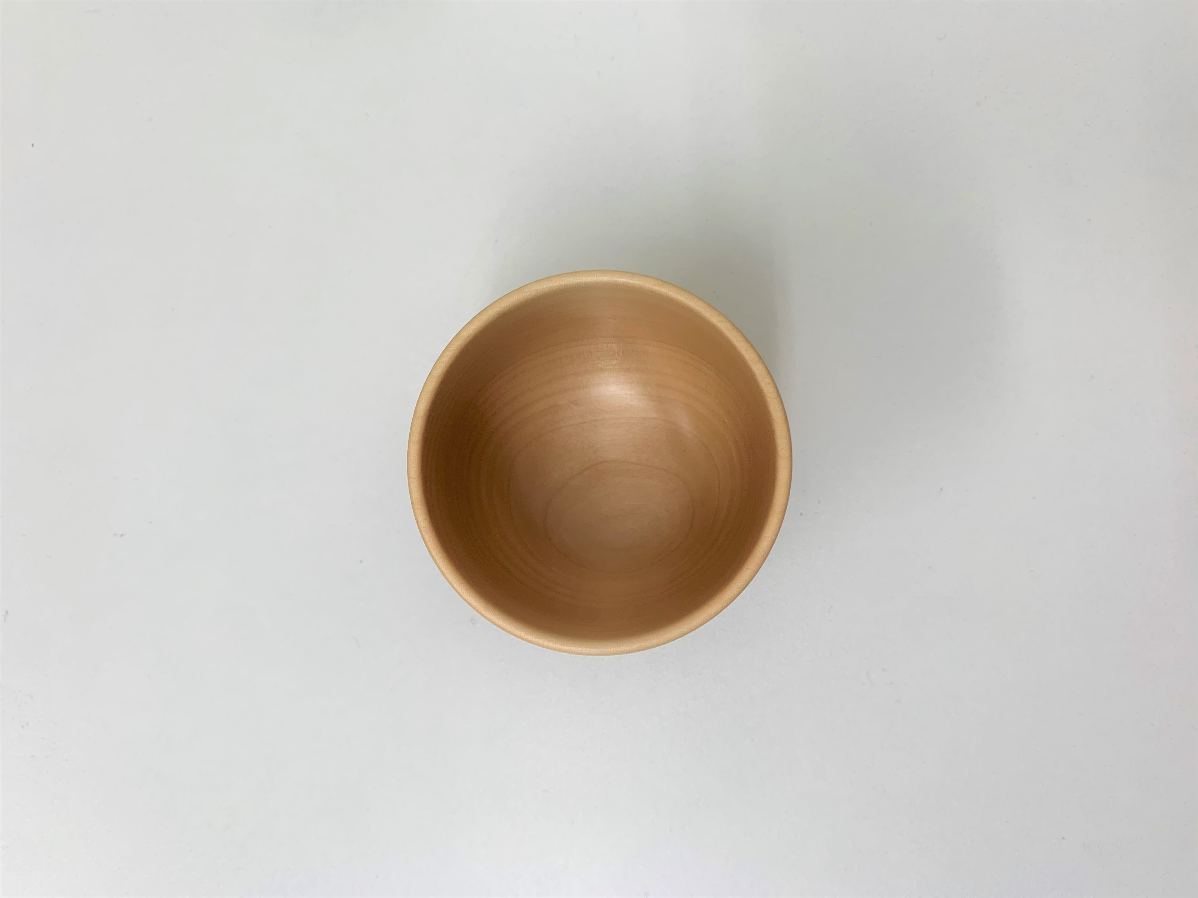 上から見た様子