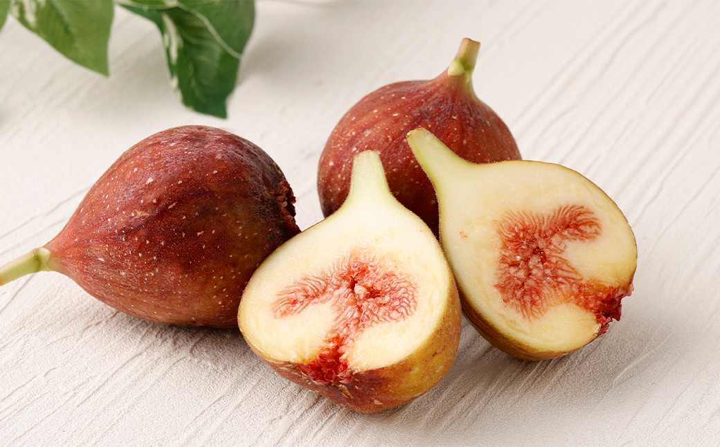 じぃじのいちじく【とよみつひめ】約1.5kg いちじく 果物 フルーツ