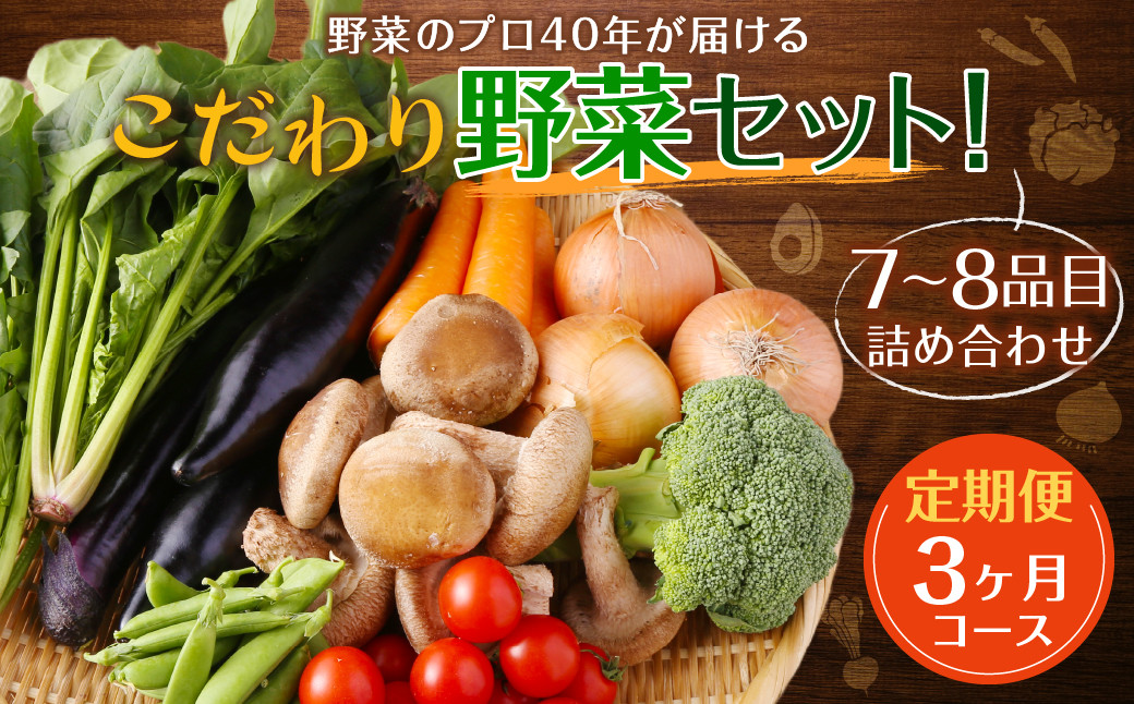 【定期便 3ヶ月コース】 野菜のプロ40年が届けるこだわり野菜セット! 7~8品目 詰め合わせ