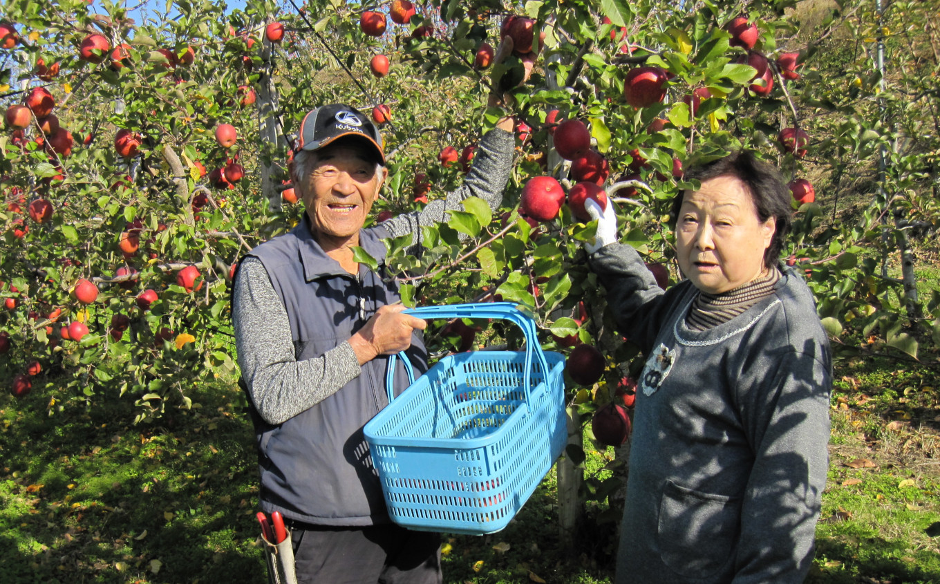 農園を営んで65年長きにわたり、より良い品質を目標に試行錯誤し続けています。