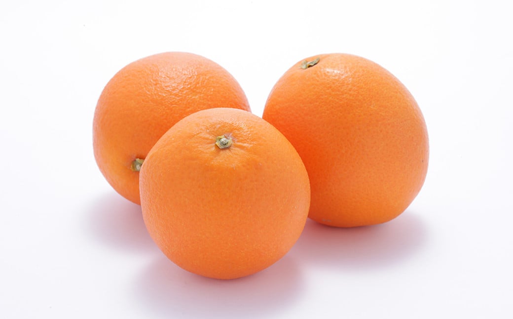 熊本県産清見 約3kg