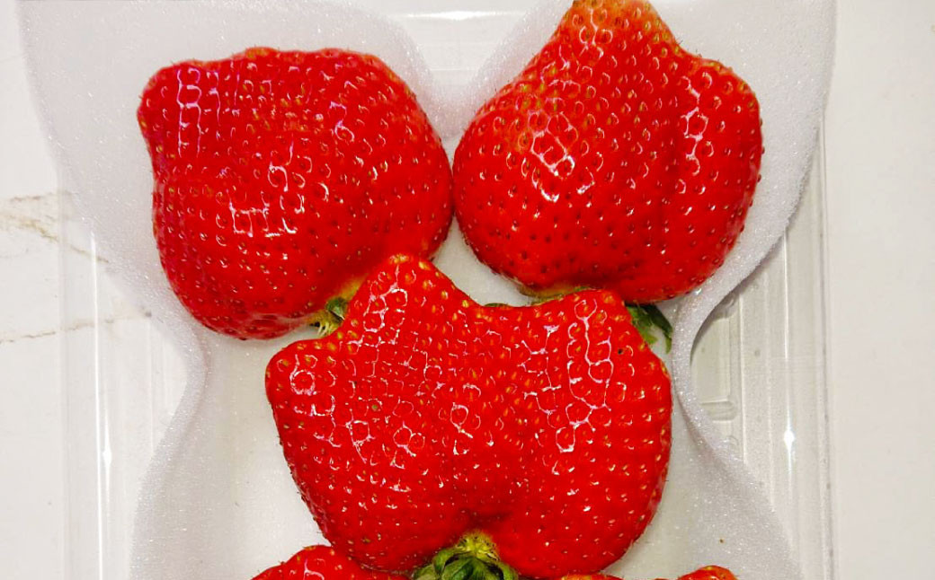 大粒あまおう 4パック