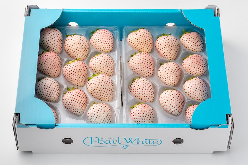 パールホワイト：220g×2パック（1パックあたり8~20粒入り）