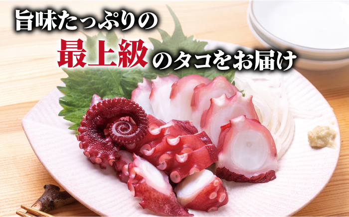 新上五島町 浜茹で真タコ 冷凍 500g 海鮮 新鮮 魚介