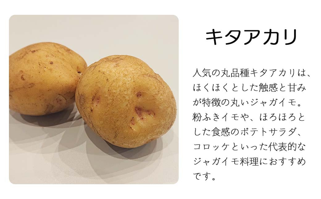 キタアカリ、デストロイヤー、ノーザンルビー、こがね丸が一度に味わえる！