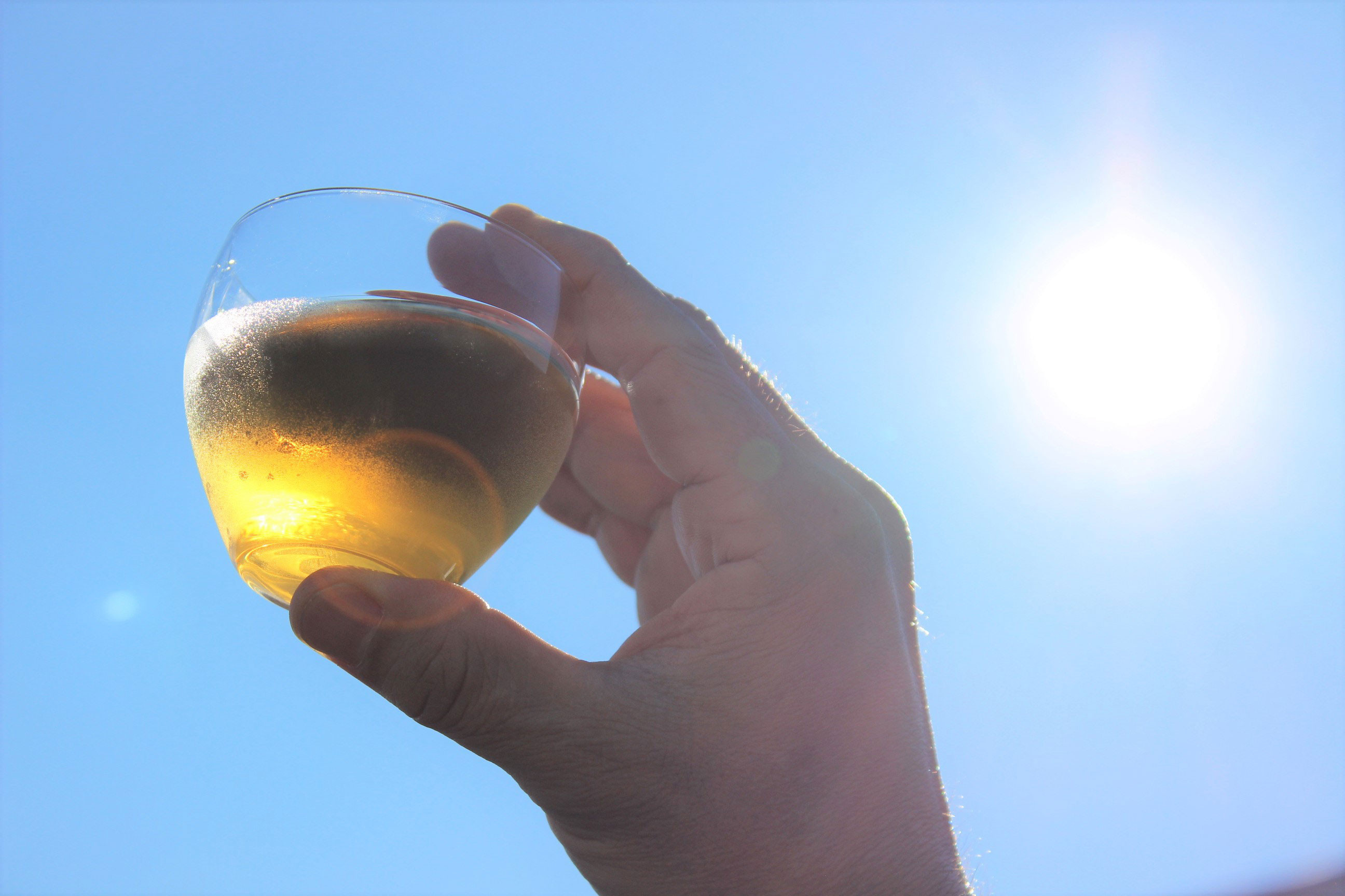 体調や疲れが気になるときや、毎日の健康習慣として。