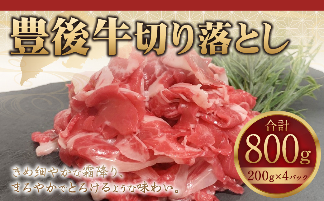 091-729 豊後牛 切り落とし 計800g (200g×4パック) 和牛 牛肉 国産
