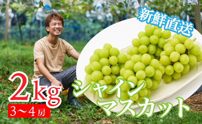 ひと房ごとの重量を計測し、2kgになるよう3~4房でお届けいたします。